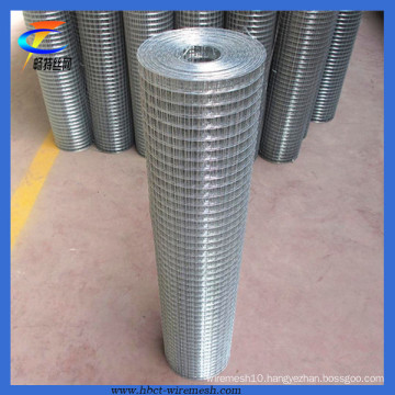 Top Quality Galvanized Welded Wire Mesh